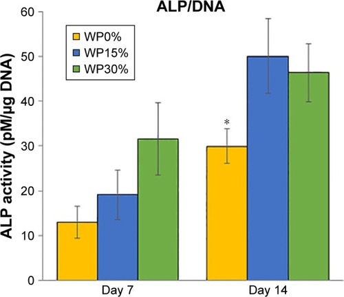Figure 8 ALP activity of MSCs after cultivating for 7 and 14 days on each scaffold (n=5).Note: *P<0.05.Abbreviations: ALP, alkaline phosphatase; MSCs, mesenchymal stem cells; WP, wheat protein.