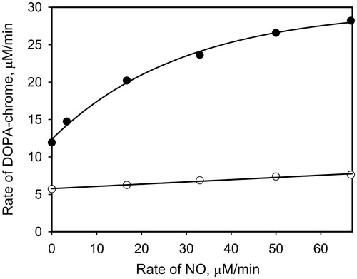 Figure 5. The initial rates of DOPA-chrome formation versus the NO generation rates in the presence of PTU (0.5 μM, open circles) and without (close circles). Reaction mixtures contained 1 mM DOPA, 10 units/ml PO and varying concentrations of PAPA/NO.