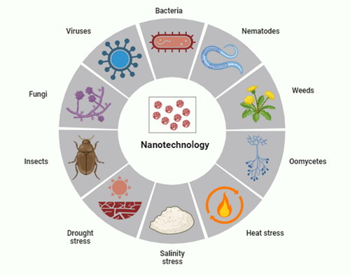 Figure 5. Uses of nanotechnology against environmental stresses.