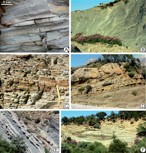Figure 3. Outcrop photographs illustrating facies of the Mezardere Formation. For outcrop numbers see Table 1. (A). Slightly metamorphosed mudstone shales intercalated with rippled, very fine-grained sandstones and siltstones of the prodelta facies, outcrop 8. (B) Prodelta facies dominated by mudstones; outcrop 19, about 20 m high. (C). Mudstones intercalated with fine-grained sandstones, prodelta facies; adjacent to outcrop 1. (D) Thickening- and coarsening-up package of sandstones intercalated with mudstones, which overlies mudstones; distal mouth bar facies overlying prodelta facies; outcrop 1; 1 m long measurement stick for scale in the red ellipse. (E) Isolated packages of thin-bedded sandstones in prodelta mudstones, probably very distal mouth bars; outcrop 20; the package of sandstone beds in the middle is about a metre thick. (F) Cross-bedded lenticular lithosoms of sandstones; proximal mouth bar facies; outcrop 16, about 20 m high.