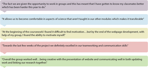 Figure 4. Student feedback – a selection of feedback that students provided about their experiences of the assessment as part of their reflective commentary.