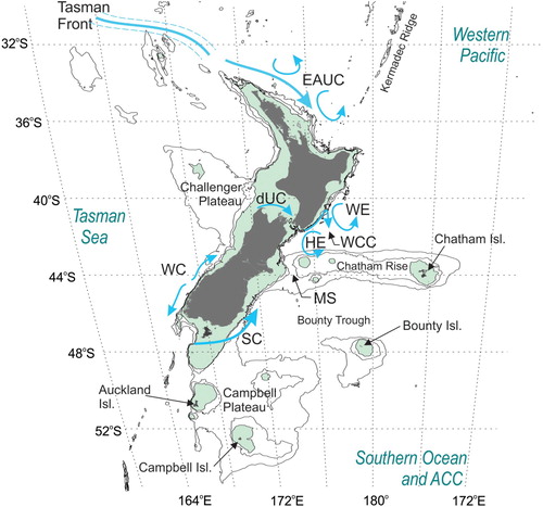 Figure 1. New Zealand/Aotearoa at the shelf seas scale showing coastal currents, plateaus and features including the Tasman Front, East Auckland Current (EAUC), Wairarapa Coastal Current (WCC) and Eddy (WE), Westland (WC) and Southland Currents (SC), Hikurangi Eddy (HE), Mernoo Saddle (MS) and the d’Urville Current (dUC). Regions less than 250 m are shaded and the 500 and 1000 m isobaths are shown.