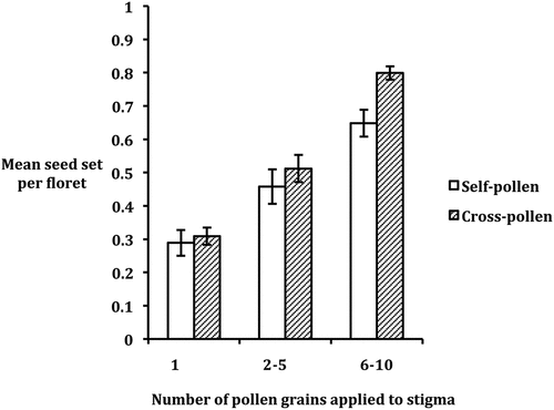 Figure 4. Mean seed set per floret (across both radiate and non-radiate variants of Senecio vulgaris) following placement of 1, 2–5 or 6–10 grains of self- or cross-pollen per stigma. Standard errors are indicated as bars.