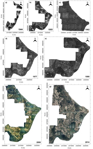 Figure 2. Orthophotos of PRD coastal area obtained from seven multi-temporal aerial photogrammetric surveys: (a) 1944, (b) 1955, (c) 1962, (d) 1977, (e) 1999, (f) 2008 and (g) 2014. Source: Author