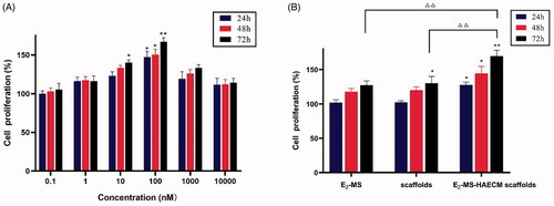 Figure 6. (A) Ishikawa cells were treated with different concentrations of E2 solution for 24 h, 48 h, and 72 h. Then, the cell proliferation was assessed by the MTT assay. *p < .05, **p < .01 vs untreated control group. (B) Ishikawa cells were treated with different preparations for 24 h, 48 h, and 72 h. *p < .05, **p < .01 vs untreated control group, △△p < .01 vs E2-MS-scaffolds group in 72 h. Data are presented as mean ± standard deviation; n = 3.