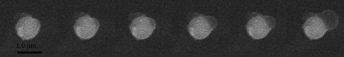 Figure 4. The time-resolved images on a single Fe2O3 particle.