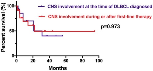 Figure 5 Kaplan–Meier curve of OS time between the 15 patients with CNS involvement at the time of DLBCL diagnosed and 23 patients with CNS involvement during or after first-line therapy.