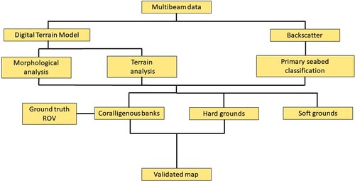 Figure 2. Flow chart showing the methodological steps used to obtain the final map.