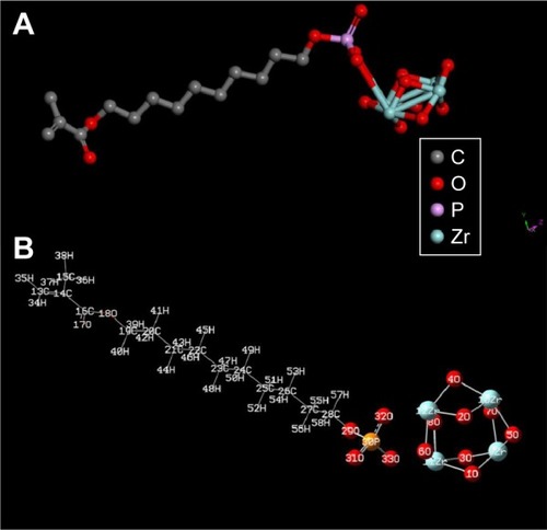 Figure 2 The MDP-t-ZrO2 coordination model after optimization (A) and description of the atom numbers in the model (B).Abbreviations: MDP, 10-methacryloyloxydecyldihydrogenphosphate; t-ZrO2, tetragonal zirconia crystal model.