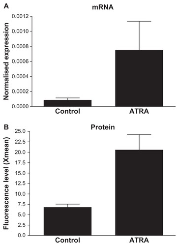 Figure 2 Induction of TrkB expression in SH-SY5Y cells by ATRA-treatment. (A) In SH-SY5Y cells, TrkB was induced by 5 days ATRA-treatment at mRNA level shown by real-time PCR. (B) Its induction and presence on the cell surface was detected at protein level by flow cytometry. Xmean (y-axis) refers to the average detected FITC-fluorescence intensity, based on immunocytochemical reaction and done by using anti-TrKB polyclonal antibody and anti-rabbit Alexa 488-labeled secondary antibody.Abbreviations: ATRA, all-trans-retiuoic acid; mRNA, messenger RNA; TrKB, tyrosine kinase B; PCR, polymerase chain reaction.