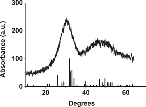 Figure 3 XRD spectrum of nanoCaP particles compared to a hydroxyapatite standard (JCPDS, #09-0432).