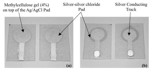 Figure 2 The screen-printed electrodes. (a) The front view, with methylcellulose gel (4%) pipetted to this side. (b) The back view, with circular window for crocodile clip connection.