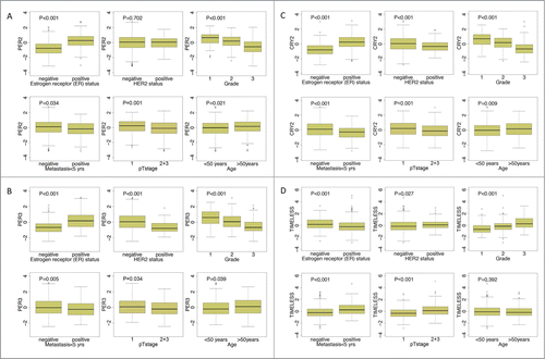 Figure 2. Association of RNA levels of PER2, PER3, CRY2 and TIMELESS with clinical parameters. Significant associations (P < 0.05) of PER2 (205251_at), PER3 (221045_s_at) and CRY2 (212695_at) with positive estrogen receptor (ER) status, lower grade, lack of metastasis, lower pT stage (1) and higher age were obtained. In addition, PER3 and CRY2 also associate with negative HER2-status. TIMELESS (203046_s_at), in contrast, showed significant association with negative ER-status, positive HER2-status higher grade, higher pT stage (2+3) and early metastasis. Differences for age, ER status, HER2 status, pTstage and metastasis were tested by the Mann-Whitney test, differences between grading by the Kruskal-Wallis test. The analysis included 766 patients with node negative breast carcinoma. Further analyses are shown in Fig. S4.