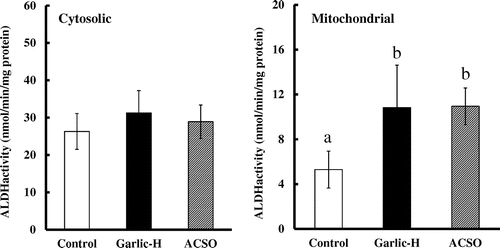 Figure 2. Effect of Garlic-H and ACSO on ALDH activity in hepatic cytosolic and mitochondrial fraction. Each value is the mean of 10 experiments ± SD. Results with different letters are significantly different at p < 0.05.