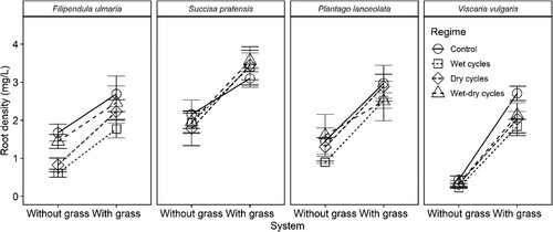 Figure 4. Mean estimates of root biomass density (±SE) for four plant species in mesocosm systems of contrasting soil hydrology, with or without competition from the grass Festuca rubra.