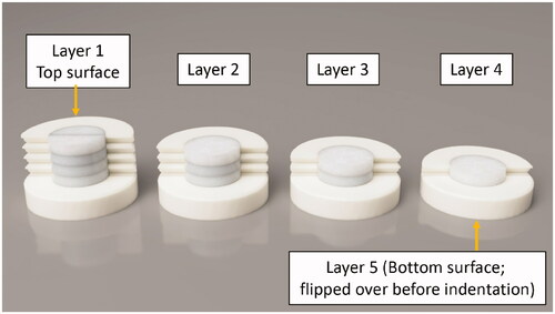 Figure 2. Diagram showing the specimen prepared for nanoindentation and FTIR analysis; The specimen was ground down to different thicknesses.