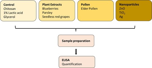 Scheme 1. Sample preparation scheme.