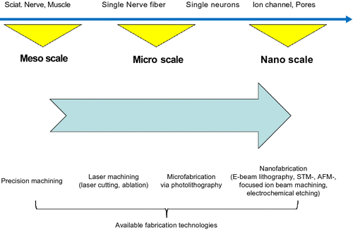 Figure 6 Classification of available fabrication technologies for neuroprosthetics based on the length scale of machinable structures. Modified from Stieglitz (Citation2010).