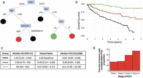 Figure 6. Non-detectable FCO proportions within tumour tissue predict longer survival times in human clear cell renal cancer. Survival analysis was conducted using the data from TCGA. We applied a recursive partitioning algorithm, partDSA, in an effort to create homogeneous survival risk groups [Citation88]. Panel A. partDSA survival tree for human renal clear cell carcinoma patients on TCGA. The models incorporated relevant patient variables, including patient age, gender, TMN class, tumour laterality, tumour FCO score. Panel B. Kaplan-Meier survival curves for the part DSA-identified subgroups. Panel C. Relevant survival statistics for the part DSA-identified subgroups. Panel D. Association of nondetectable FCO (FCO = 0) proportions with higher stage clear cell renal cancer tumours.