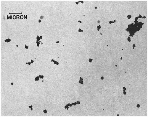 Figure 2. A 1944 electron micrograph of McIntyre Powder particles (10,000X magnification). This image was taken directly from the paper entitled “The engineering aspects of aluminium prophylaxis” by A.W. Jacob published in Transactions, XLVII:185–202 (1944). Reprinted with permission of the Canadian Institute of Mining, Metallurgy and Petroleum.