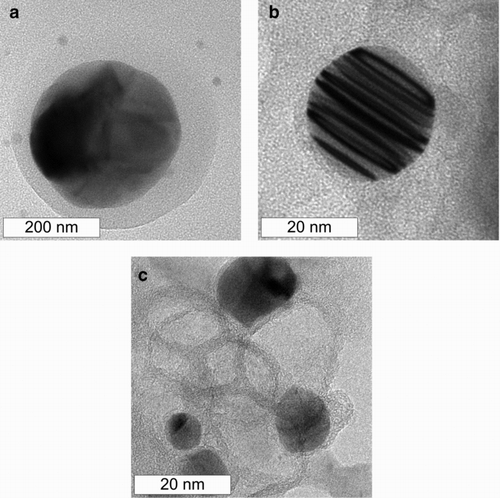 FIG. 6 Transmission electron micrographs of carbon coated copper nanoparticles (a, b) collected on membrane filters and recovered by dissolution of the filter and washing, (c) carbon shells remaining after washing in acetic acid.
