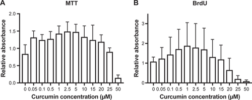 Figure S3 Response of NHDFs grown with free curcumin for 24 hours.Notes: (A) Relative absorbance (relative to control: 0 μM curcumin, 0 μM H2O2) measured for the MTT assay. (B) Relative absorbance measured for the BrdU assay. Dilutions were made from a stock solution of 25 mM of curcumin in DMSO, and all the experiments were performed in the presence of 50 μM H2O2. Error bars represent standard deviations (n=4, samples in triplicate).Abbreviations: BrdU, 5-bromo-2′-deoxyuridine; DMSO, dimethyl sulfoxide; NHDFs, normal human dermal fibroblasts.