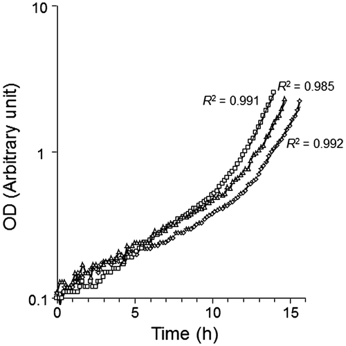 Fig. 2. Growth curves of the recombinant Rps. palustris strains cultured under photohetrotrophic conditions.