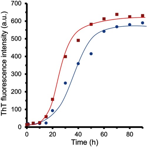 Figure 1 Kinetics of α-synuclein amyloid fibrillation as detected by ThT fluorescence assay. Protein samples (100 μM in the absence (circle) and presence of zero valent iron (ZVFe) NPs (square).