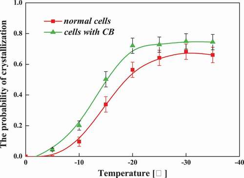 Figure 9. The probability of crystallization as a function of temperature at a cooling rate of 60℃/min in normal cells and cells with CB.