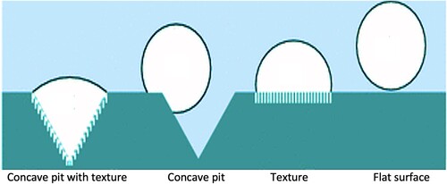 Figure 8. Interactions between bubbles and various textures. Image adapted from [Citation17].