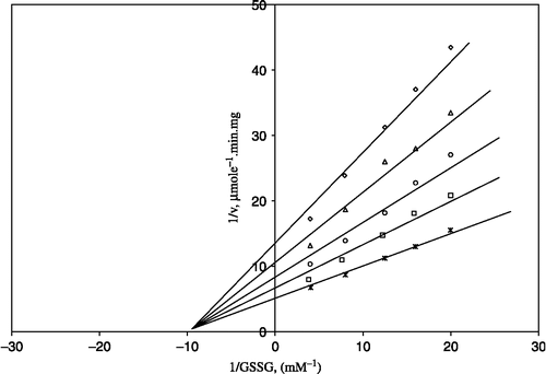 Figure 1 Lineweaver-Burk double reciprocal plot of initial velocity against GSSG as varied substrate and ZnSO4 (0.05–1 mM) as inhibitor at a fixed NADPH (0.1 mM) concentration. *0.1 mM NADPH (constant); □ 0.05 mM ZnSO4 ;○ 0.1 mM ZnSO4; Δ 0.5 mM ZnSO4; ⋄1 mM ZnSO4.