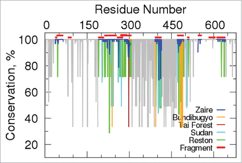Figure 6. Plot of residue-type conservation as a function of position in the EBOV GP sequence derived from a multiple sequence alignment of the Ebolavirus genus. The 13 regions from the EBOV GP sequence identified as highly antigenic are indicated in red over the horizontal axis. The residue conservation on these epitopes is color-coded based on the EBOV species.