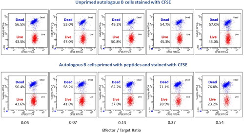 Figure 1. Representative dot plots of a CTL cytotoxicity assay. Autologous B-cells were isolated from naïve NHP using CD20 microbeads and stored in liquid N2. NHP were immunized with modified adenoviruses encoding simian immunodeficiency virus (SIV) antigens (Gag, Pol and Nef). B-Cells were then thawed and conditioned with IFN-γ. Half of the B-cells were pulsed with Nef RM9 peptide and stained with CFSE, while the other half were left un-pulsed and stained with CFSE (target cells). In parallel, CD8+ T-cells (effector cells) were freshly isolated from immunized NHP. Target (T) cells and effector (E) cells were then mixed at different E:T cell ratios, with equal numbers of pulsed and un-pulsed target B-cells. Following incubation, cells were stained with tetramer-Nef-RM9-BV421, anti-CD8-FITC, LIVE/DEAD™ Fixable Far Red Dead Cell Stain Kit and analyzed by flow cytometry. Total autologous target B-cells were gated on CFSE and effector antigen-specific CD8+ T-cells were gated on pMHC tetramer-Nef-RM9/CD8 double-positive cells. Efficiency of the cytotoxicity of CD8 T-cells was based on the percentage of live versus dead B-cells.simian immunodeficiency virus