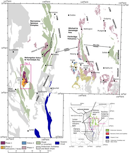 Figure 2. Map showing three northern belts of the Macquarie Arc divided into phases of arc development and with Ordovician turbidites in grey. Based on Percival and Glen (Citation2007) and Glen et al. (Citation2011). The Cowal Igneous Complex (CIC) is indicated by the pink box, which is also the map area for Figure 3. Inset at lower right shows location of Macquarie Arc volcanic rocks in the Lachlan Orogen, Ordovician turbidites and black shales (craton derived continental margin terranes), and cherts and argillites of the Narooma oceanic plate terrane. Lower-case single letters on the main map are notable localities in the Junee–Narromine Volcanic Belt, m, Marsden Cu–Au porphyry prospect; g, Goonumbla; n, Northparkes alkalic porphyry deposits.