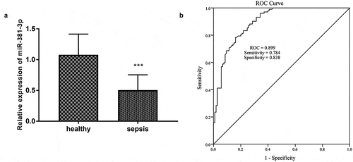 Figure 1. A total of 105 healthy controls and 102 sepsis patients were included in this study. (a) The expression miR-381-3p in sepsis. (b) The ROC curve showed the diagnosis importance of miR-381-3p. * **P < 0.001