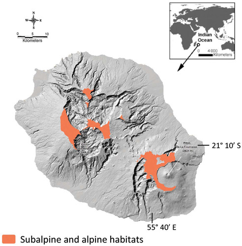 FIGURE 1. Map of La Réunion Island with the subalpine shrubland vegetation highlighted. Sources: Fonds cartographiques — MNT IGN BD Topo Réunion 2003, and Habitats terrestres, UMR CIRAD, Université de La Réunion PVBMT. Authors: D. Strasberg, M. Rouget, D. M. Richardson, S. Baret, J. Dupont, and R. M. Cowling.