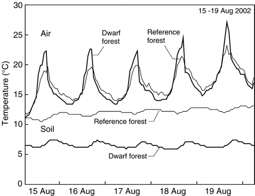 FIGURE 5.  Diurnal courses of air and soil temperatures during warm weather in mid-August 2002 (see the boxed period in Fig. 3)