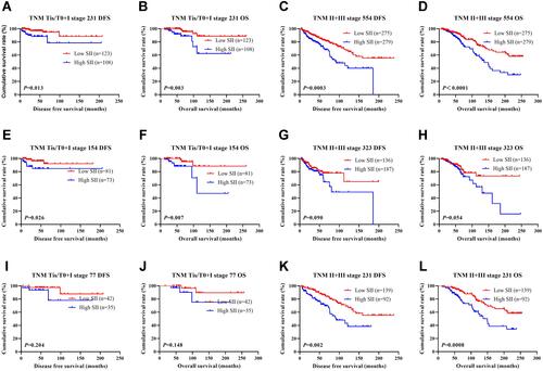 Figure 2 DFS and OS based on SII scores of patients with breast cancer of different pathological stage. (A) Kaplan–Meier analysis of DFS for the SII of patients with early breast cancer. (B) Kaplan–Meier analysis of OS for the SII of patients with early breast cancer. (C) Kaplan–Meier analysis of DFS for the SII of patients with advanced breast cancer. (D) Kaplan–Meier analysis of OS for the SII of patients with advanced breast cancer. (E) Kaplan–Meier analysis of DFS for the SII of patients with early breast cancer (NACT group). (F) Kaplan–Meier analysis of OS for the SII of patients with early breast cancer (NACT group). (G) Kaplan–Meier analysis of DFS for the SII of patients with advanced breast cancer (NACT group). (H) Kaplan–Meier analysis of OS for the SII of patients with advanced breast cancer (NACT group). (I) Kaplan–Meier analysis of DFS for the SII of patients with early breast cancer (non-NACT group). (J) Kaplan–Meier analysis of OS for the SII of patients with early breast cancer (non-NACT group). (K) Kaplan–Meier analysis of DFS for the SII of patients with advanced breast cancer (non-NACT group). (L) Kaplan–Meier analysis of OS for the SII of patients with advanced breast cancer (non-NACT group).