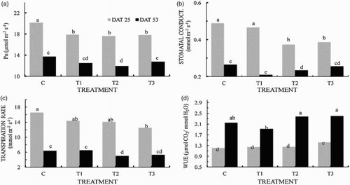 Figure 2. Effects of measuring timing and treatments on net photosynthesis (a), stomatal conductance (b), transpiration rate (c) and water use efficiency (WUE, d) in C, T1, T2 and T3 treatments. Bar values indicated by different small letters are significantly different at the p < .05. For abbreviations for treatments see Figure 1. DAT means days after thinning.