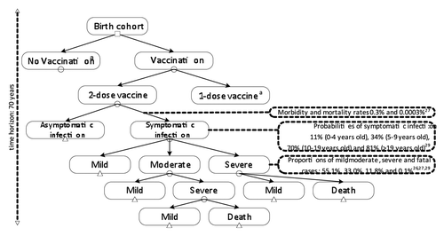 Figure 1. Decision analytic model.aSame branches with 2-dose vaccine are applied