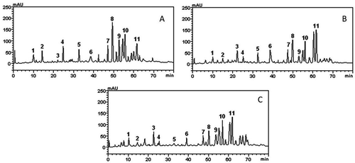 FIGURE 2 High-performance liquid chromatography phenolics and flavonoids profile of Psidium brownianum.