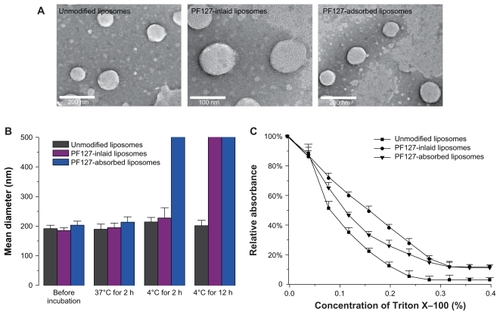 Figure 2 (A) Transmission electron micrographs of unmodified liposomes, Pluronic® F127-inlaid liposomes and Pluronic F127-adsorbed liposomes. (B) Particle size change in liposomes after incubation at 37°C for 2 hours and 4°C for 2 hours or 12 hours. (C) Influence of Triton X-100® on relative absorbance at 400 nm of unmodified liposomes (■), PF127-inlaid liposomes (●), and PF127-adsorbed liposomes (▾).