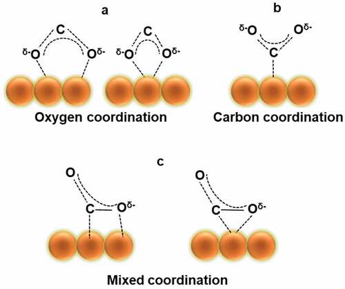 Figure 6. Possible structures of CO2 anchoring on the surface of the catalyst. (Reprinted with permission from Ref [Citation74]. Copyrights 2006 Elsevier).