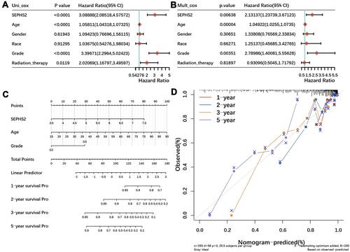 Figure 12 A prognostic nomogram model using independent prognostic factors Univariate (A) and multivariate Cox proportional hazards regression analysis (B) of clinicopathological parameters of overall survival using the TCGA cohort. (C) Nomogram for predicting the 1-year, 2-year, 3-year, 5-year overall survival rate of LGG patients. (D) External calibration plots of the prognostic nomogram for the overall survival of LGG patients.