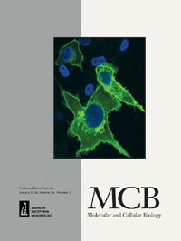 Cover image for Molecular and Cellular Biology, Volume 36, Issue 2, 2016