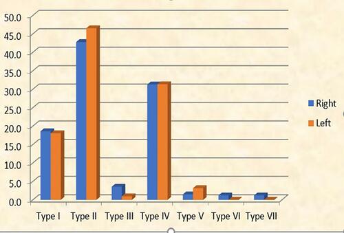 Figure 2 Graphical representation of canal types on the right and left sides.