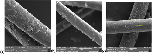 Figure 7. Electronic microscope details of (a) sheep wool, (b) camel wool, and (c) goat wool fibers.