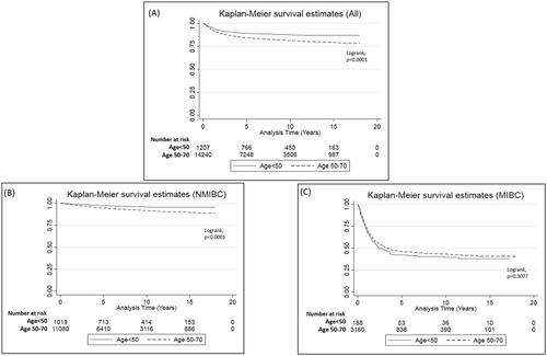 Figure 2. Kaplan–Meier curves for bladder cancer specific survival when stratified by age group (<50 vs. 50–70). (A) All patients, (B) non-muscle invasive bladder cancer patients (NMIBC), and (C) muscle invasive bladder cancer patients (MIBC).