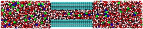 Figure 5. A snapshot of the graphene slit pore system containing graphene carbon (cyan), water (red for oxygen and white for hydrogen), sodium ions (blue) and chlorine ions (green).