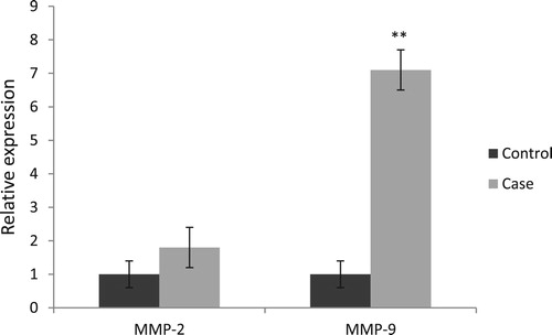Figure 3. Comparison of MMP-2 and MMP-9 relative expressions between factor XIII deficient patients without ICH (control) and those with ICH (case). All reactions were normalized to GAPDH. MMP-2, Matrix metalloproteinase-2; MMP-9, Matrix metalloproteinase-9.